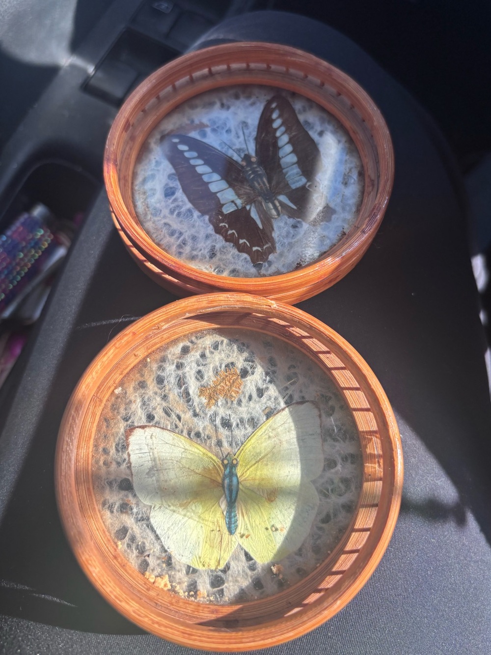 Decorative vintage Butterfly coaster set - Natural Brown